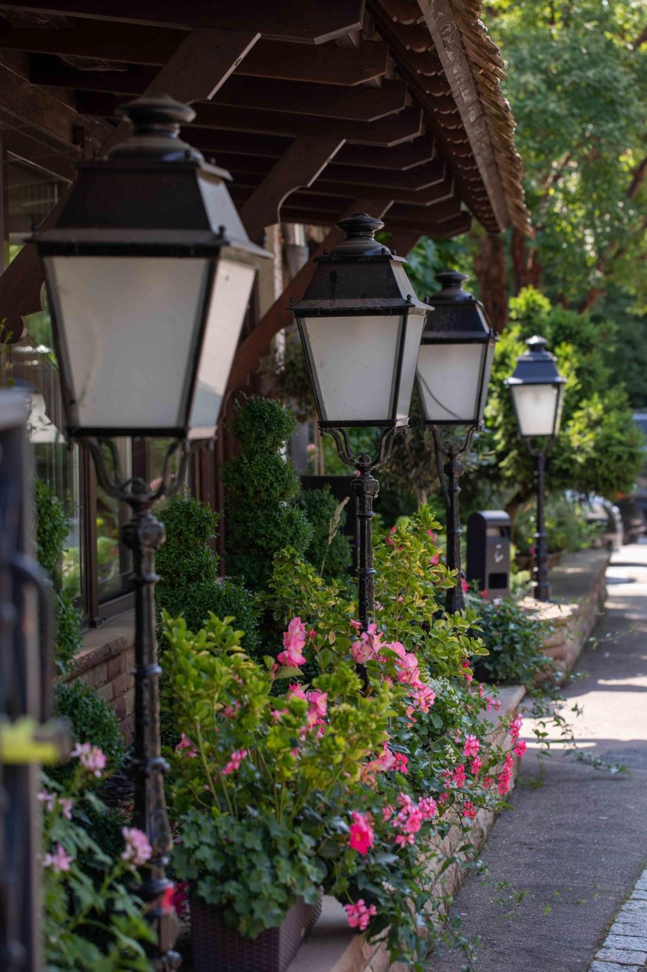Blaesheim Hotel Restaurant Au Boeuf מראה חיצוני תמונה